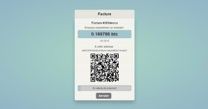 Payer en Bitcoins sur Bisly.co